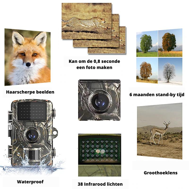 Outdoor Trailcamera 4K Waterdicht met Nachtzicht en Infrarood