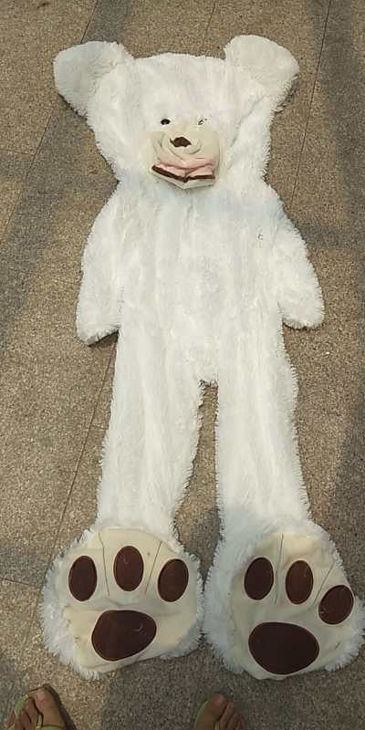 Grote Knuffelbeer Pluche Teddybeer Zacht en Schattig