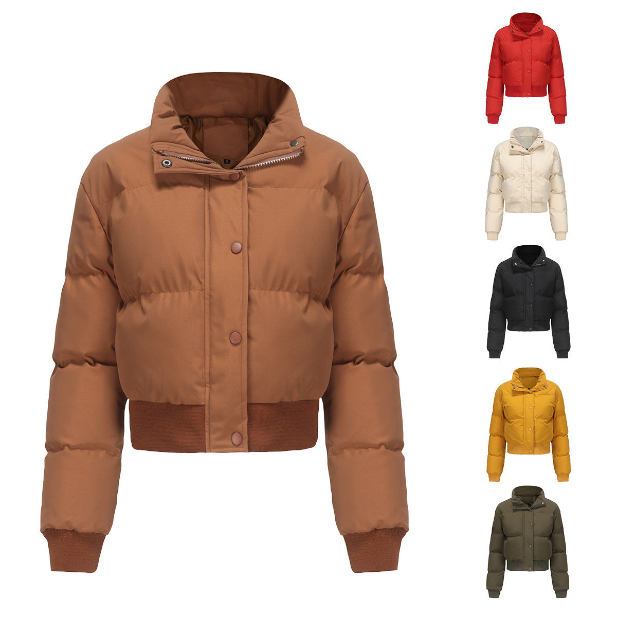 Dames Pufferjas Kort met Hoogsluitende Kraag Warm