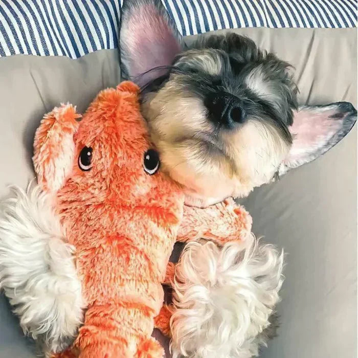 Interactief Hondenspeeltje met Bewegingssensor