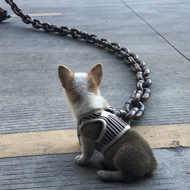 Hondenriem Grappig en Stoer voor Honden