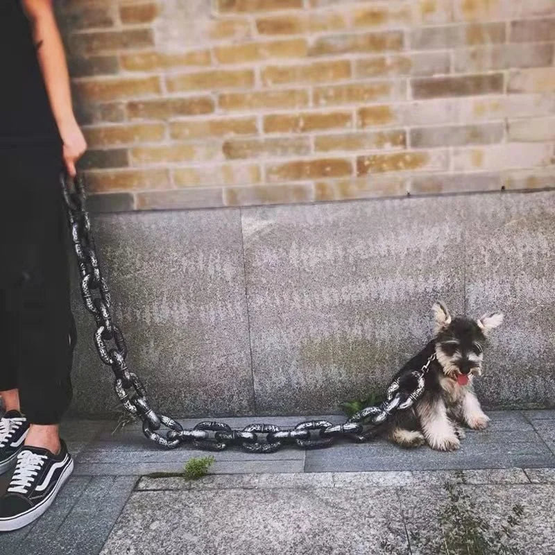 Hondenriem Grappig en Stoer voor Honden