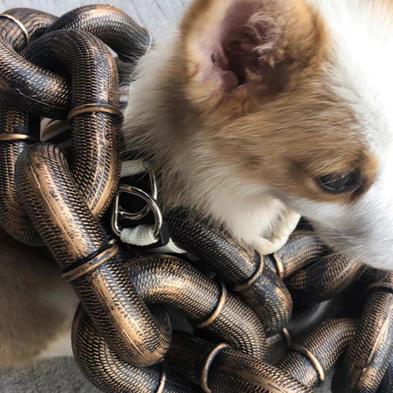 Hondenriem Grappig en Stoer voor Honden