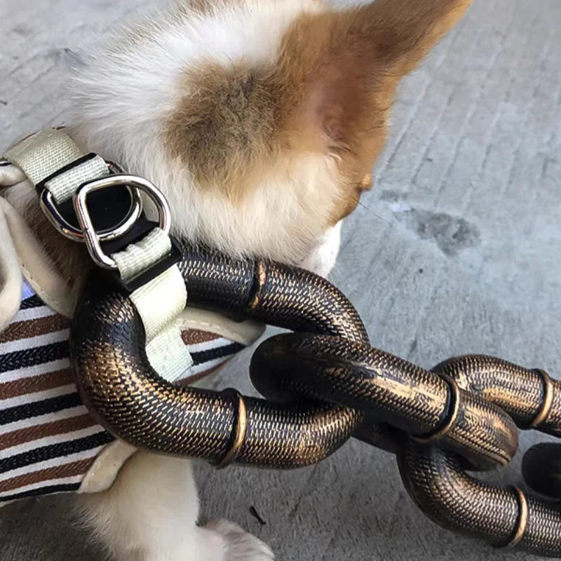 Hondenriem Grappig en Stoer voor Honden