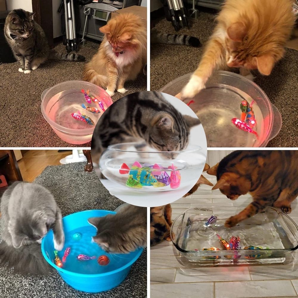 Katten Speelset Waterdicht met AquaPurr Functie