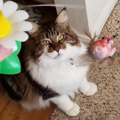 Kattenspeeltje Vogel met Veer en Touw