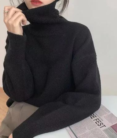 Vrouwelijke Coltrui Elegante Stijl