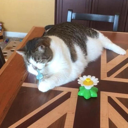 Kattenspeeltje Vogel met Veer en Touw