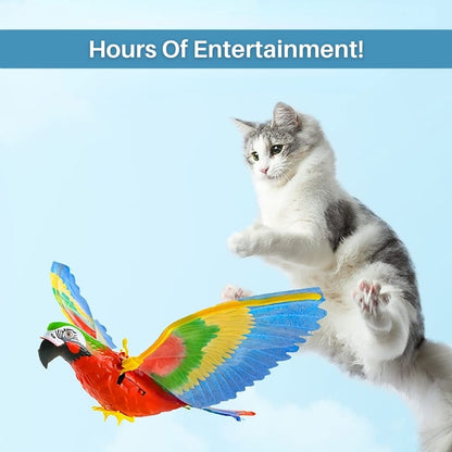 Kattenspeelgoed Interactief met Veer voor Actief Spelen