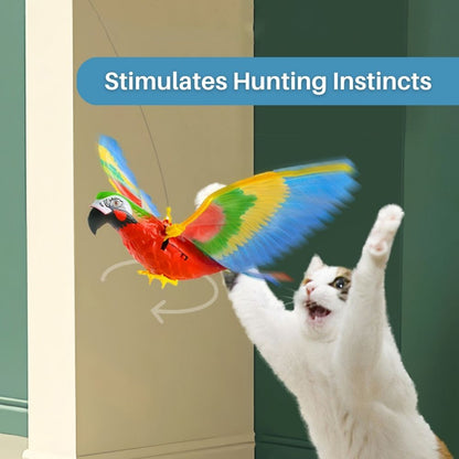 Kattenspeelgoed Interactief met Veer voor Actief Spelen