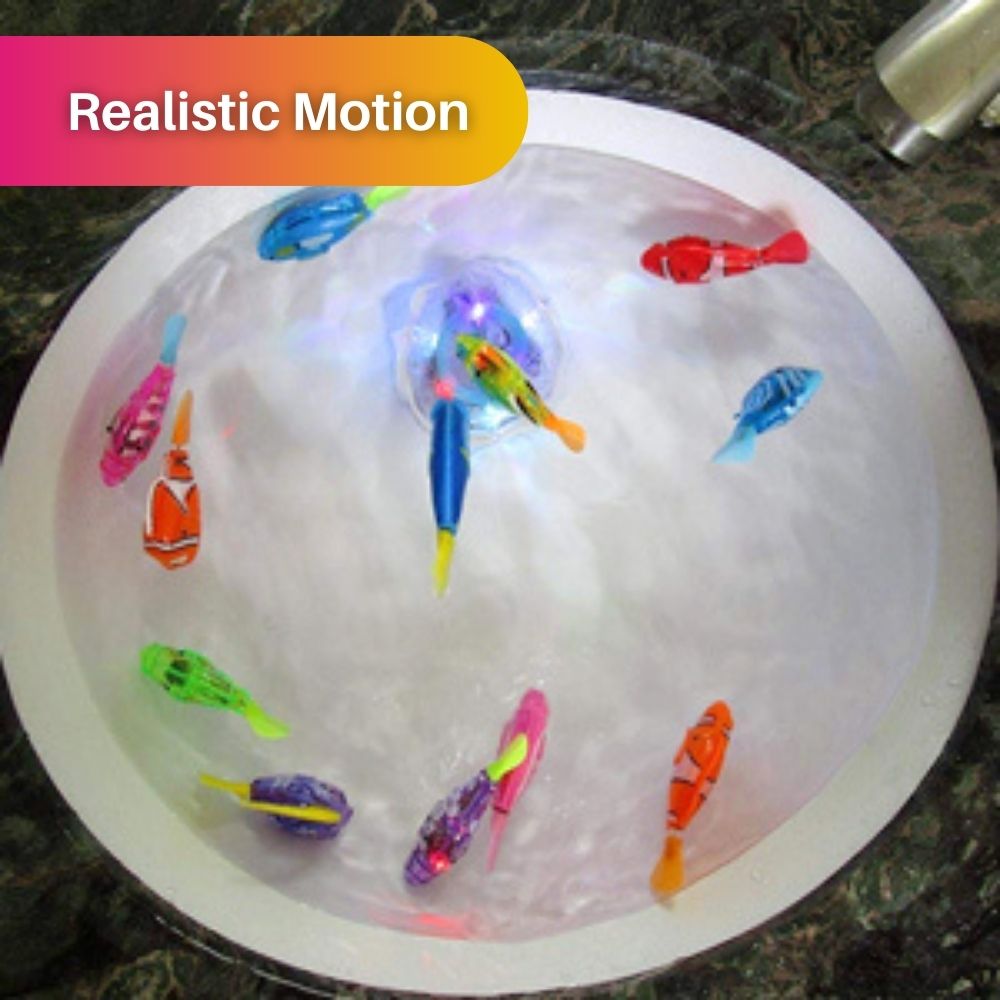 Katten Speelset Waterdicht met AquaPurr Functie