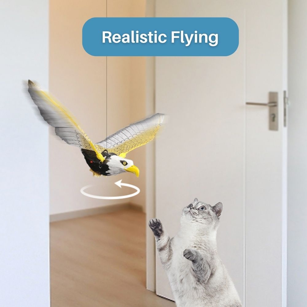 Kattenspeelgoed Interactief met Veer voor Actief Spelen