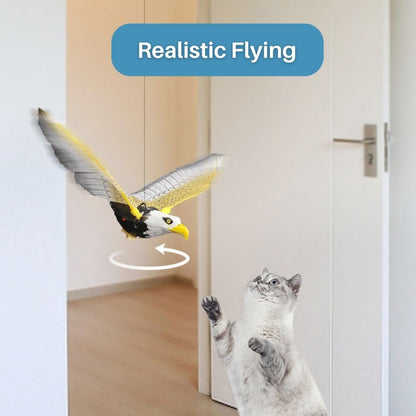 Kattenspeelgoed Interactief met Veer voor Actief Spelen