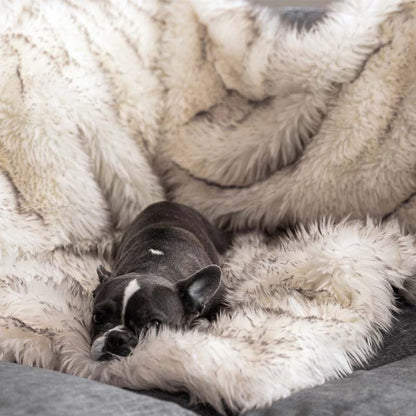 Waterdichte Huisdierendeken voor Honden en Katten