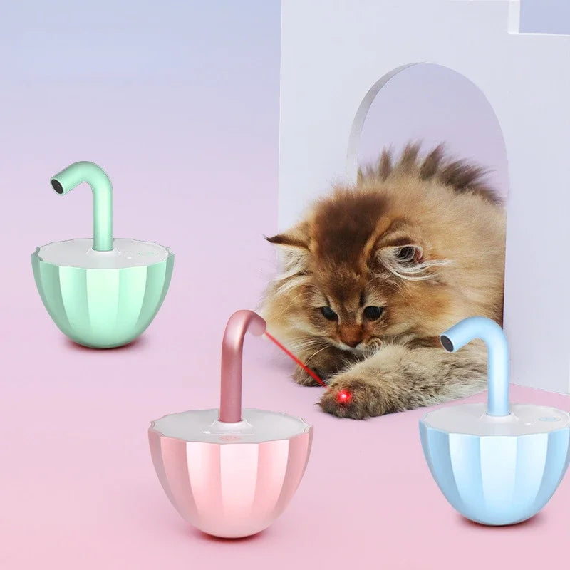 Kattenspeeltje Laser Speelgoed Interactief