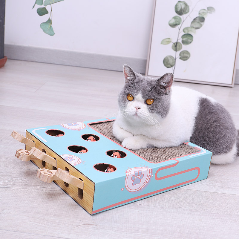 Interactief Kattenspeelgoed 3-in-1 Whisker Play Set - Mode Vibes