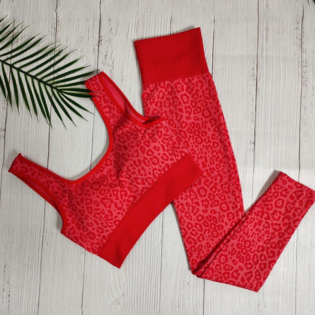 Vrouwelijke Fitness Outfit Sportset Stoer en Sexy