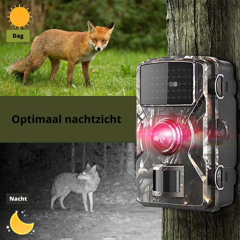 Outdoor Trailcamera 4K Waterdicht met Nachtzicht en Infrarood