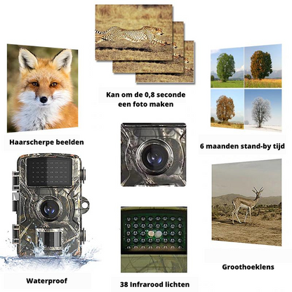 Outdoor Trailcamera 4K Waterdicht met Nachtzicht en Infrarood