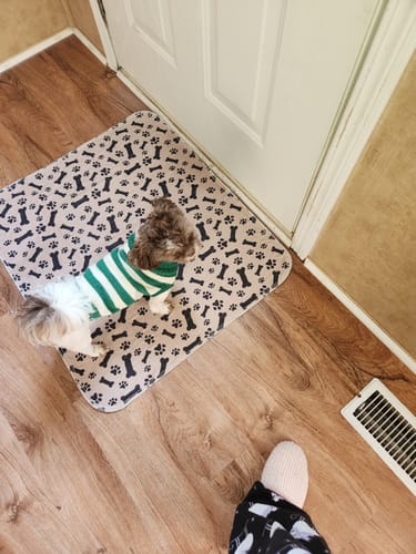 Orthopedische Huisdiermat voor Honden en Katten