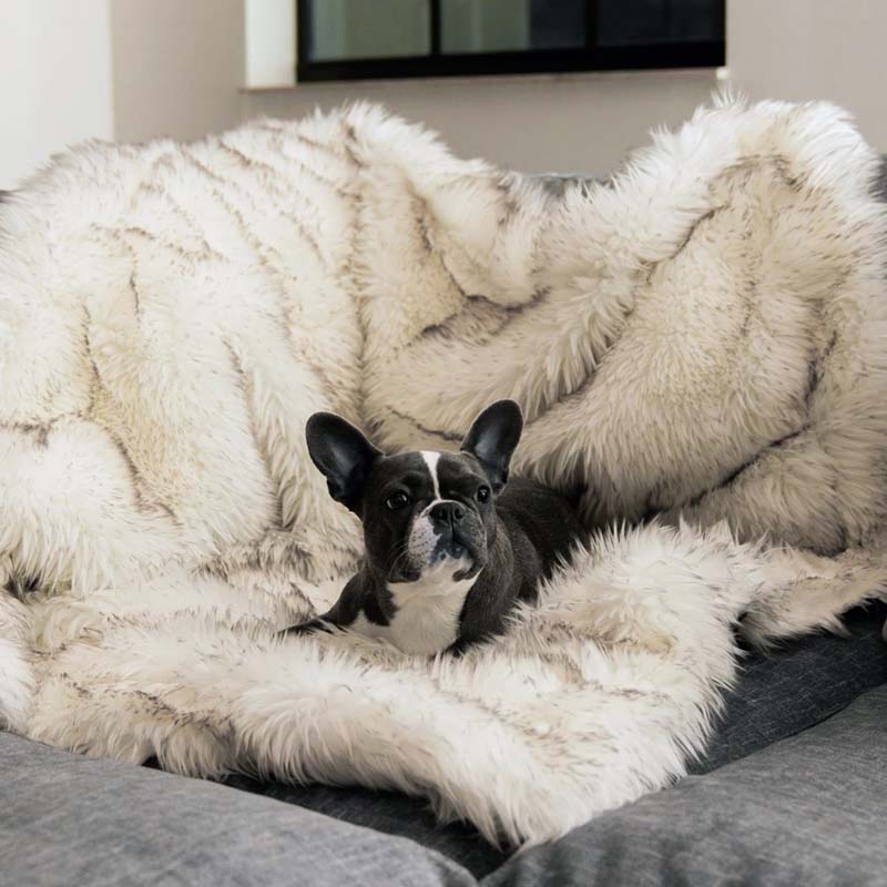 Waterdichte Huisdierendeken voor Honden en Katten - Mode Vibes