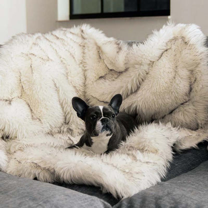 Waterdichte Huisdierendeken voor Honden en Katten - Mode Vibes
