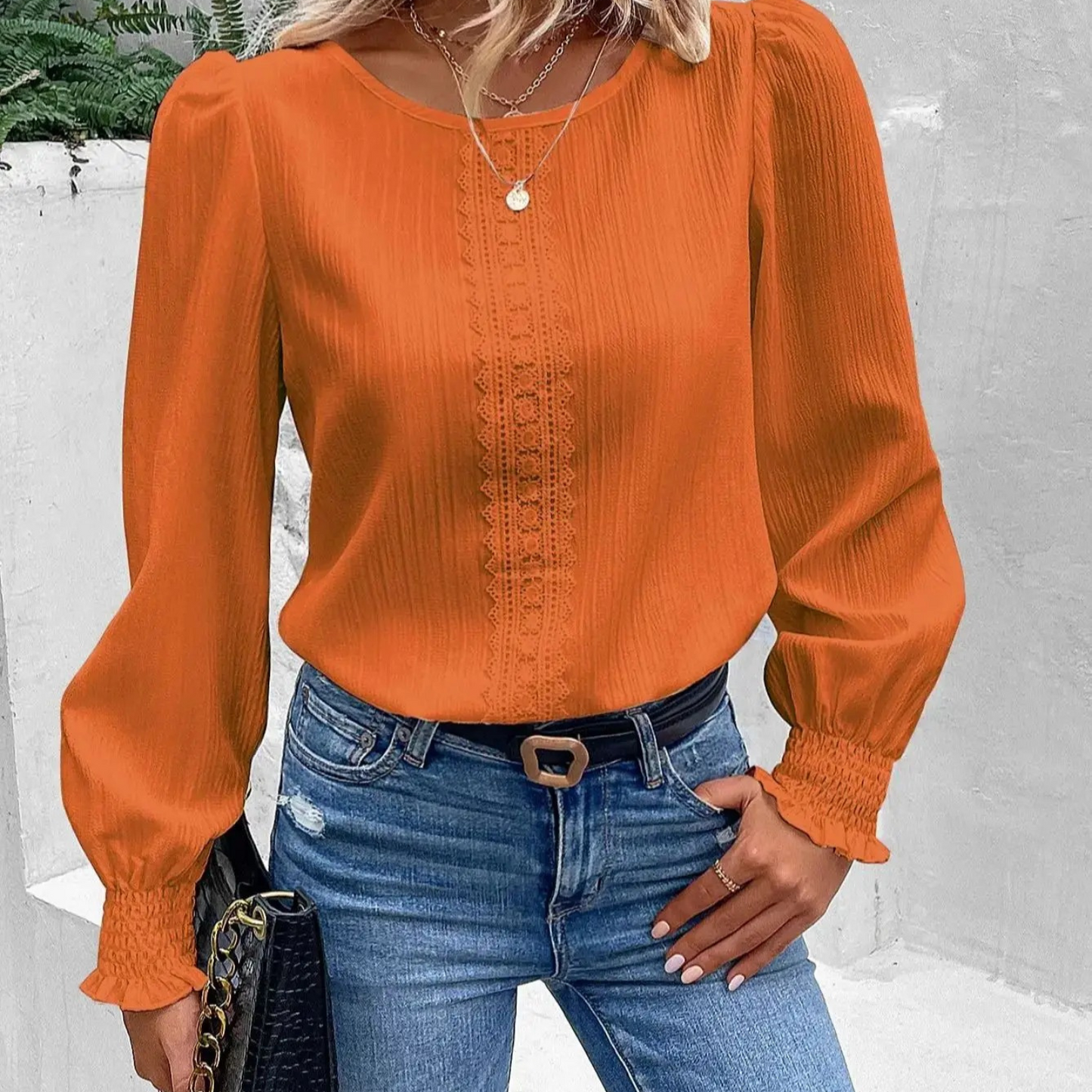 Stijlvolle Elegante Stijl Dames Blouse
