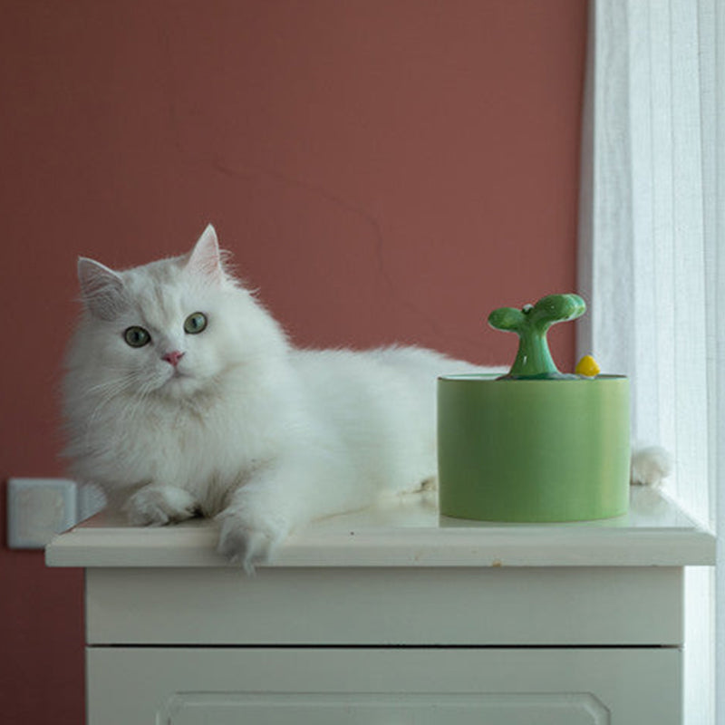 Kattenfontein Met SpringFlow Werking