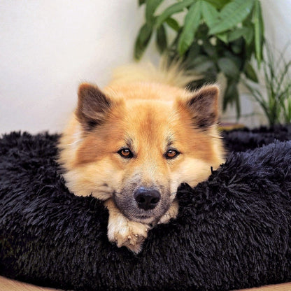 Hondenmand Fluffy Plus – Orthopedisch Slaapbed voor Honden
