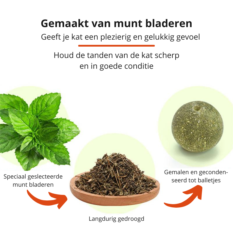 Kattenkruid Speeltje voor Actieve Katten