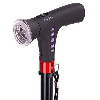 Wandelstokken met LED Licht voor Nordic Walking - Mode Vibes