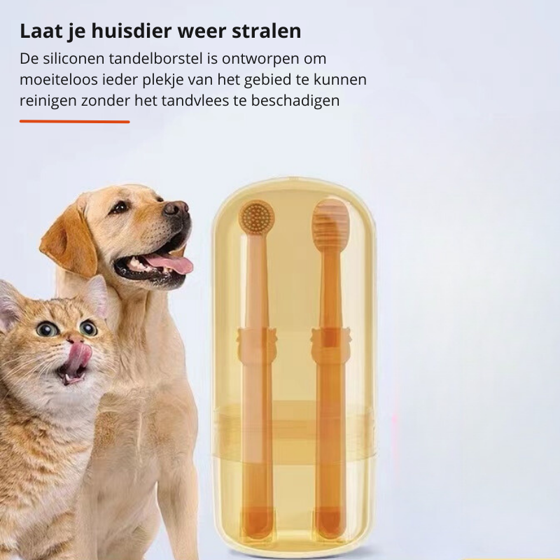 Hondentandenborstel Professioneel Gebitverzorging