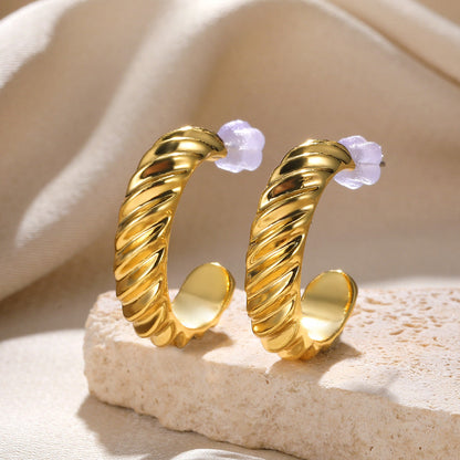 Dames Oorbellen Exclusief Uniek Design Lodia
