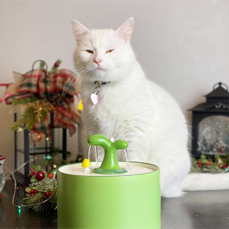 Kattenfontein Met SpringFlow Werking