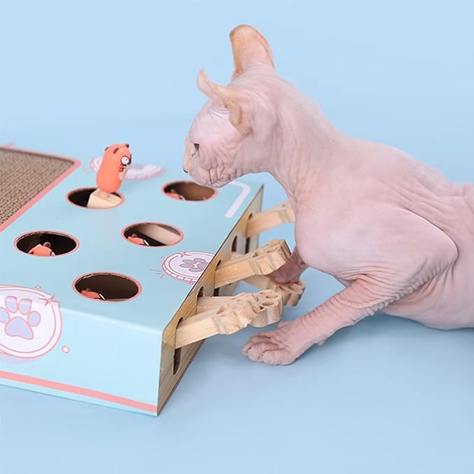 Interactief Kattenspeelgoed 3-in-1 Whisker Play Set