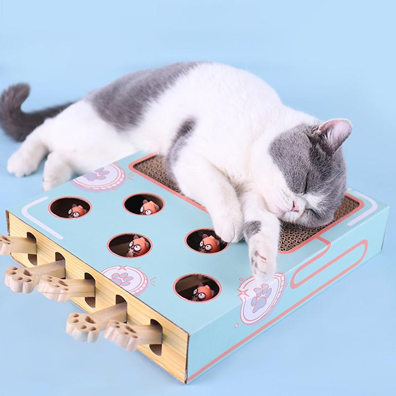 Interactief Kattenspeelgoed 3-in-1 Whisker Play Set