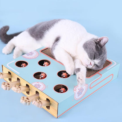 Interactief Kattenspeelgoed 3-in-1 Whisker Play Set