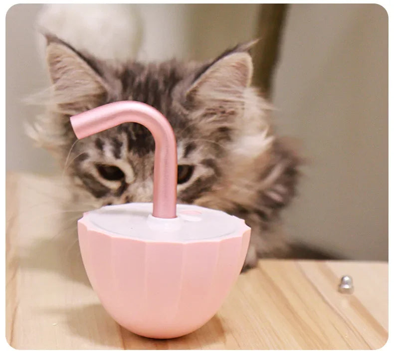 Kattenspeeltje Laser Speelgoed Interactief