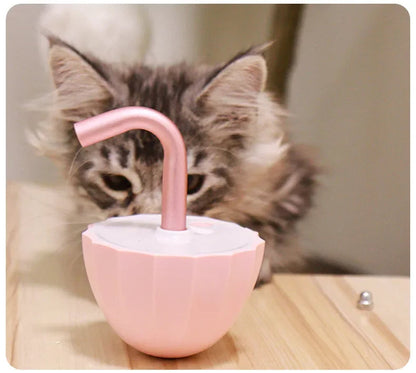 Kattenspeeltje Laser Speelgoed Interactief