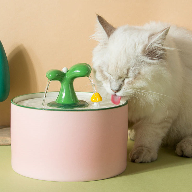 Kattenfontein Met SpringFlow Werking