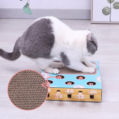 Interactief Kattenspeelgoed 3-in-1 Whisker Play Set
