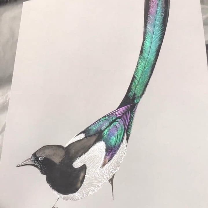 Kleurrijke Aquarelverf Set voor Kunst en Tekenen