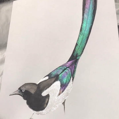 Kleurrijke Aquarelverf Set voor Kunst en Tekenen