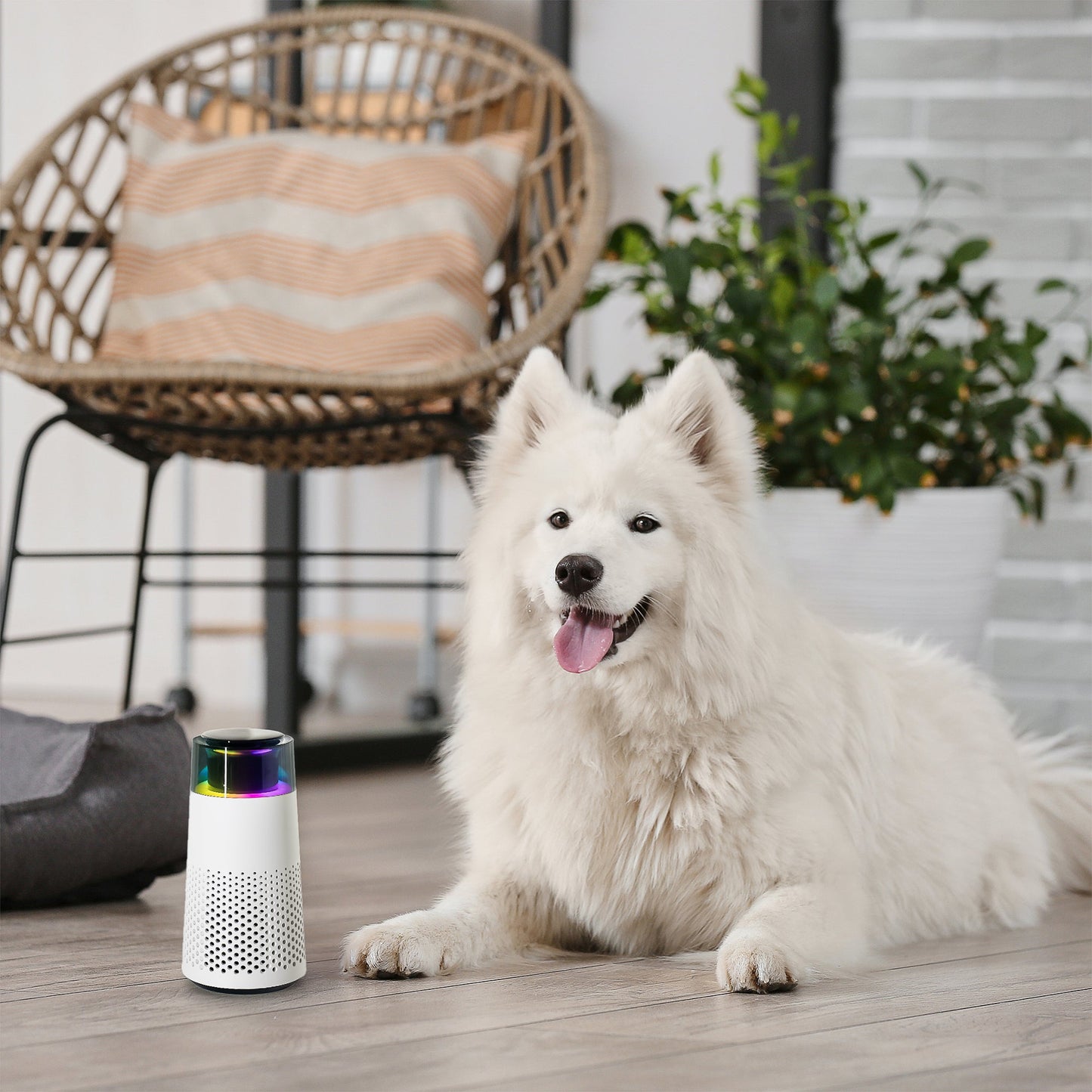 Dierenluchtverfrisser Humidifier voor Huisdieren