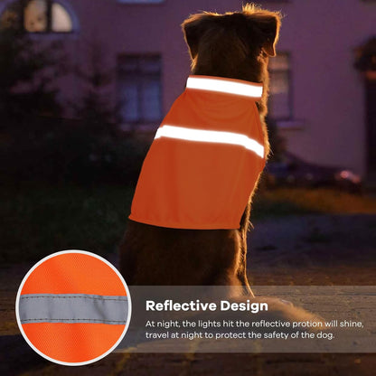 Hondenvest Reflecterend Veiligheidshesje met Hoge Zichtbaarheid