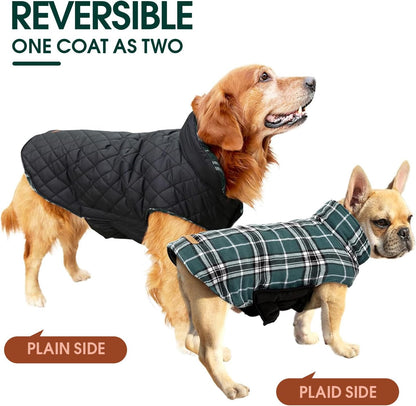 Waterdichte Hondenjas - Warme Winterjas voor Honden