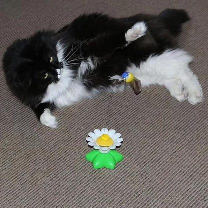 Kattenspeeltje Vogel met Veer en Touw
