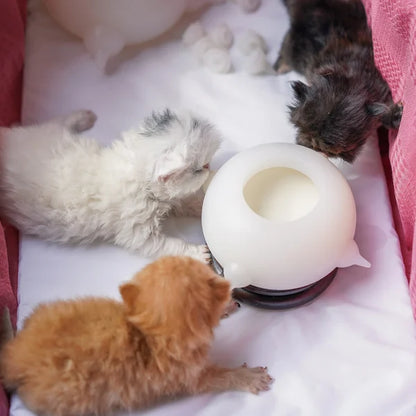 Kleine Melkkom voor Kitten KittySip