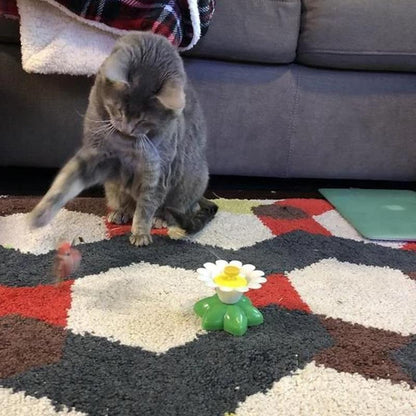 Kattenspeeltje Vogel met Veer en Touw