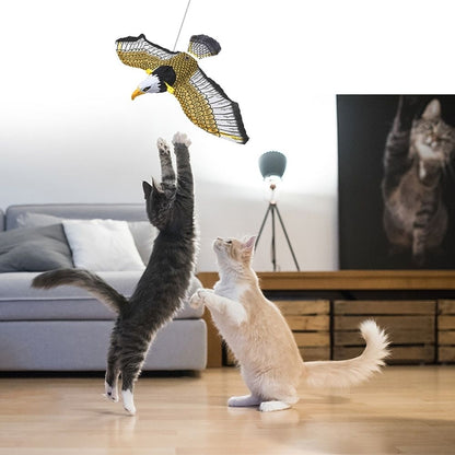 Kattenspeelgoed Interactief met Veer voor Actief Spelen
